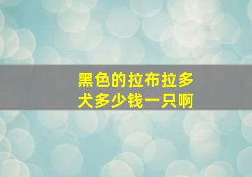 黑色的拉布拉多犬多少钱一只啊