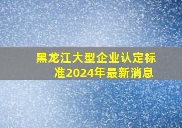 黑龙江大型企业认定标准2024年最新消息