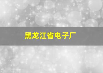 黑龙江省电子厂