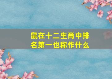 鼠在十二生肖中排名第一也称作什么