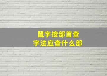 鼠字按部首查字法应查什么部