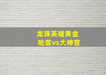 龙珠英雄黄金哈兹vs大神官